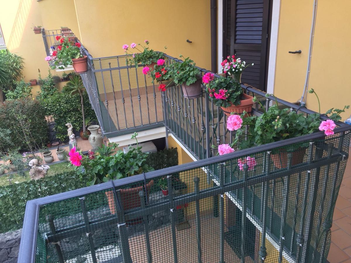 Hotel Gli Ulivi Dell'Etna Linera Exterior foto
